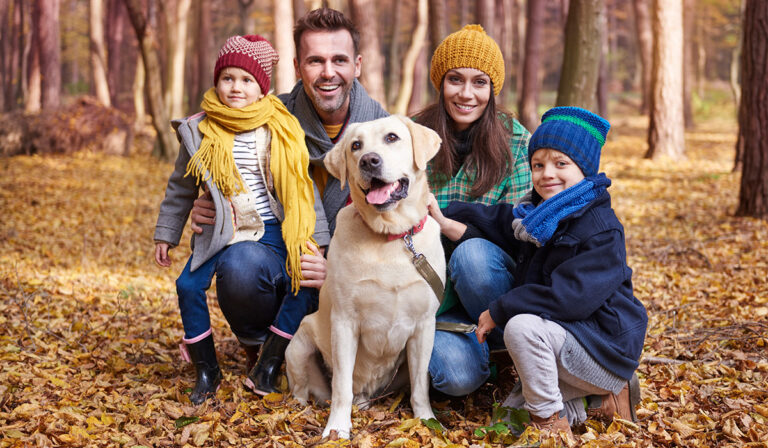 Praesent libro se cursus ante