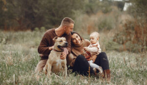 Vestibulum sapin prin quam