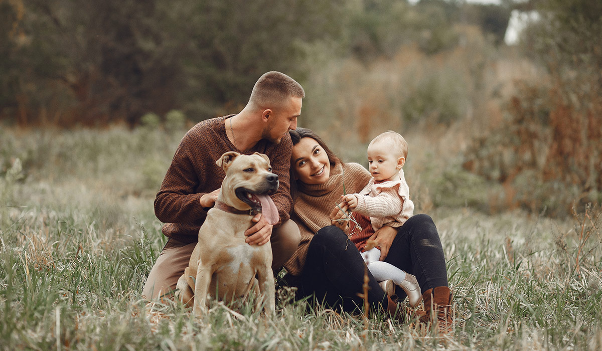 You are currently viewing Vestibulum sapin prin quam